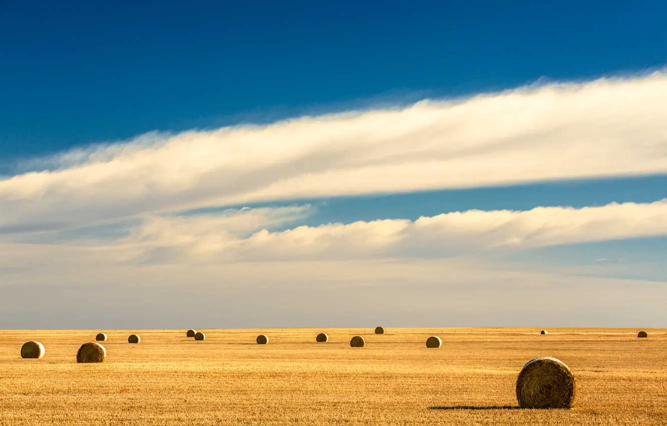 Photo wallpaper field, the sky, clouds, the fence, horizon, sky, field, clouds