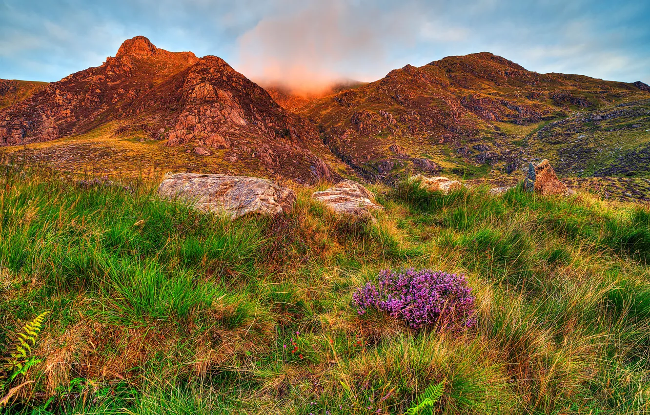 Photo wallpaper the sky, grass, clouds, flowers, mountains, stones, slope, Snowdonia