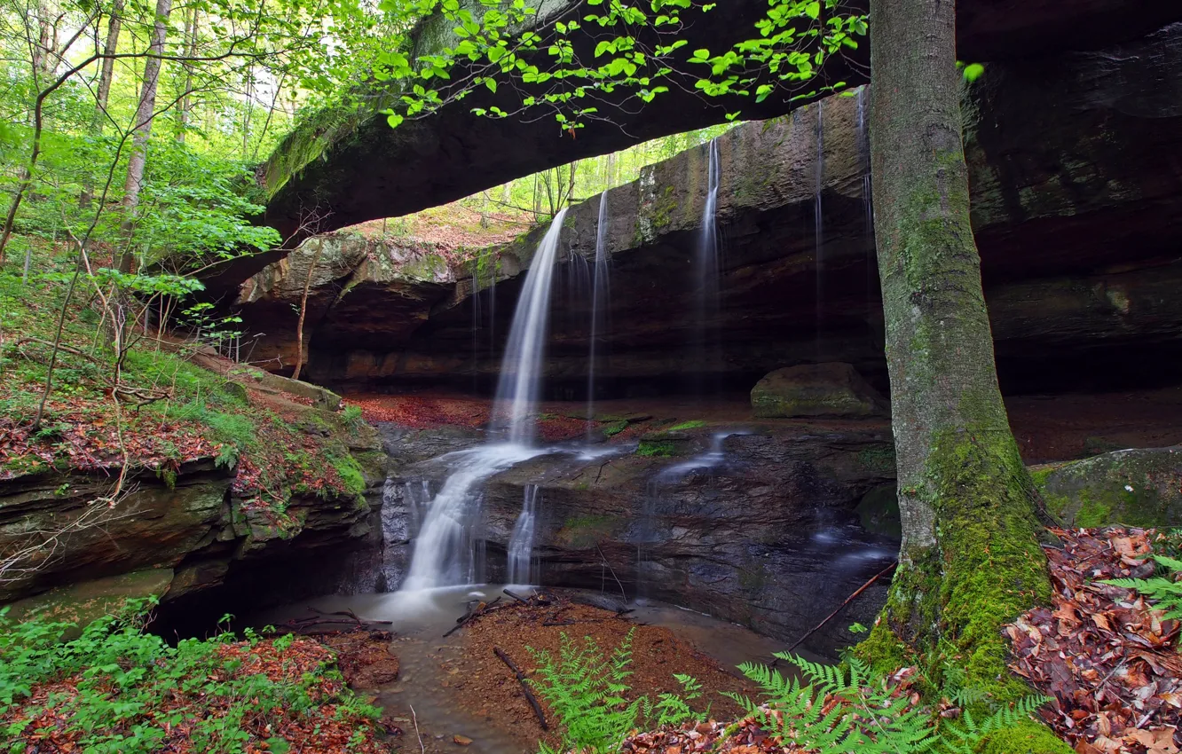 Photo wallpaper trees, rocks, waterfall, stream, USA, Ohio