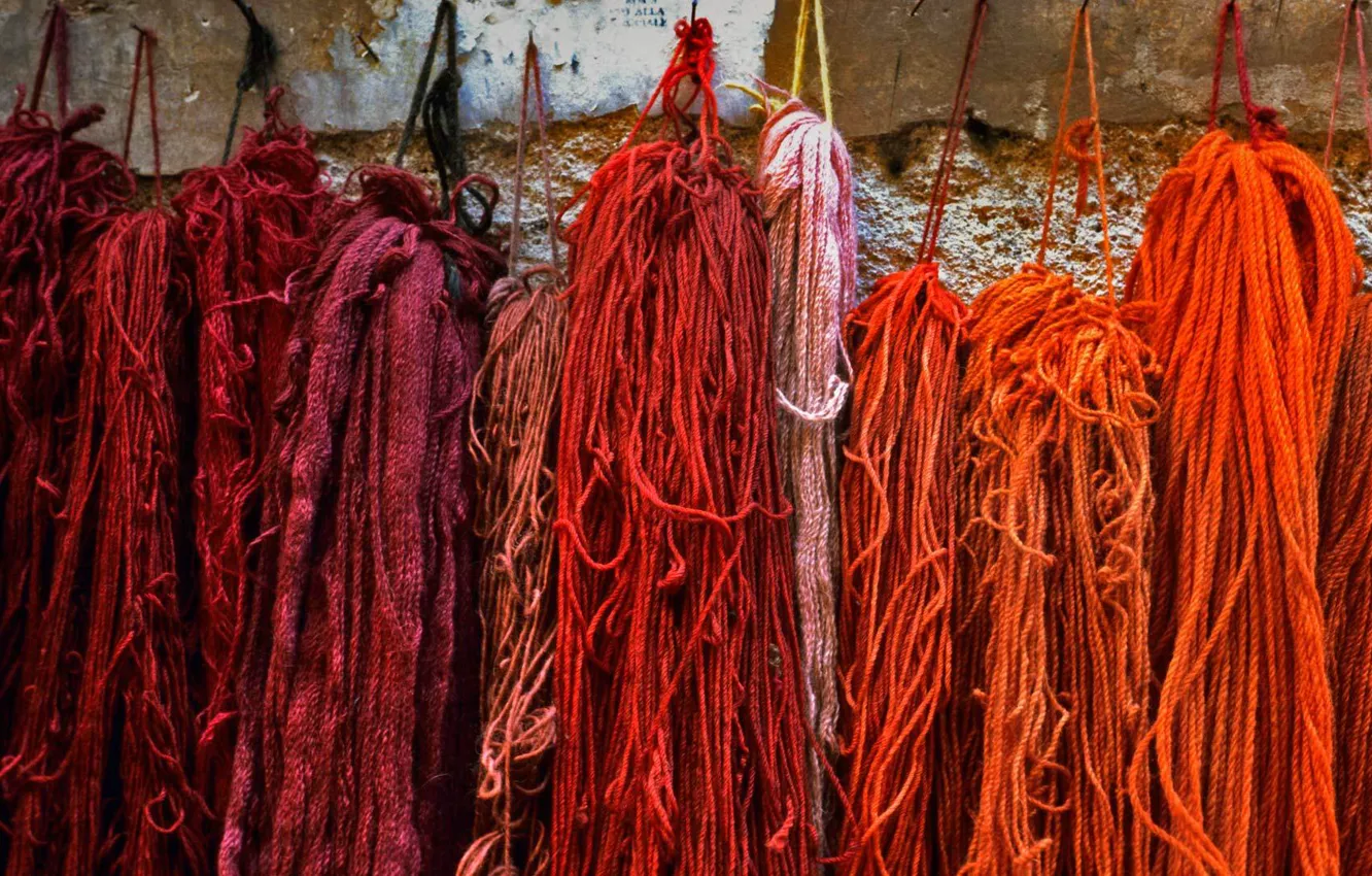 Photo wallpaper wool, Rome, Italy, strand