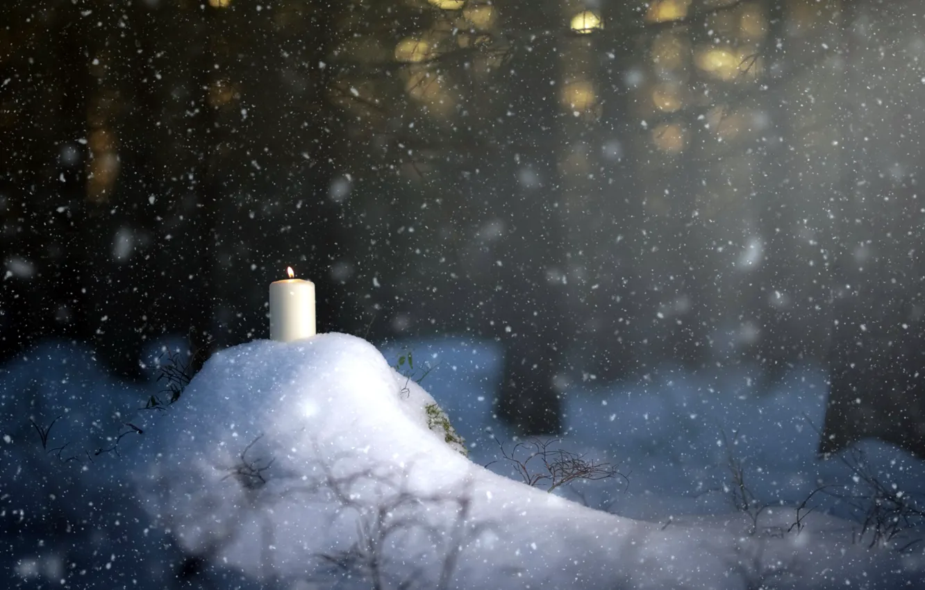 Photo wallpaper forest, snow, candle