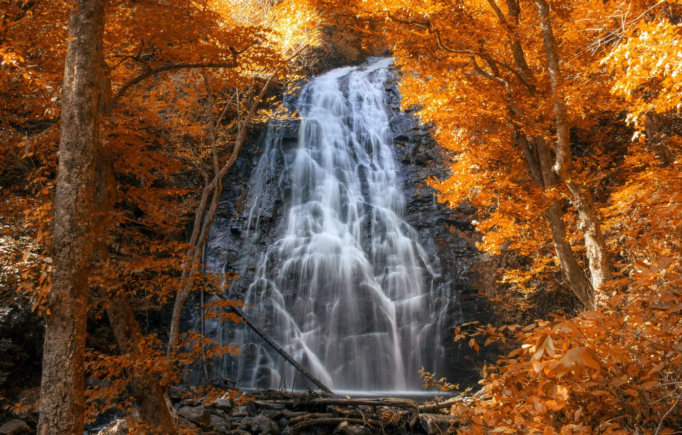 Photo wallpaper autumn, trees, nature, waterfall