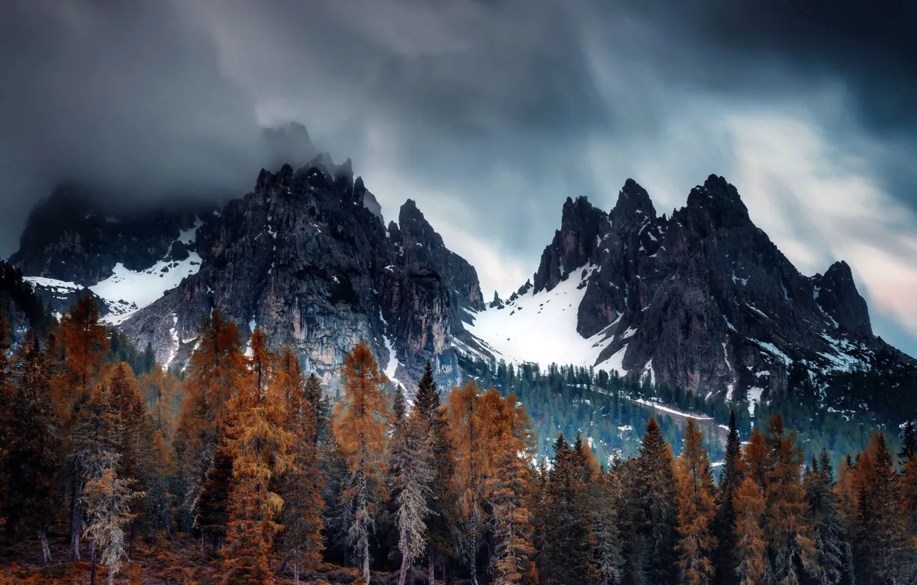 Photo wallpaper autumn, mountains, fog