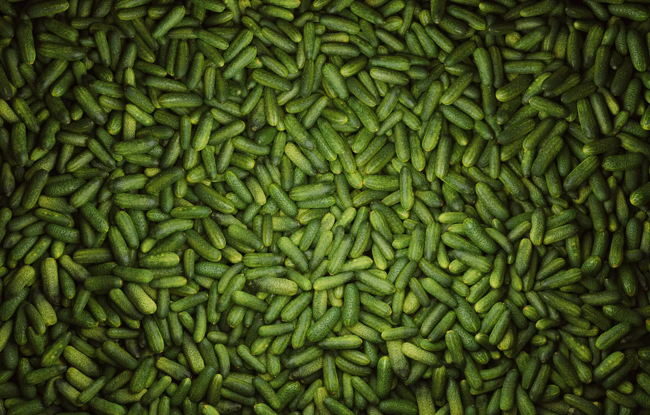 Photo wallpaper cucumbers, Crispy element, Pimply