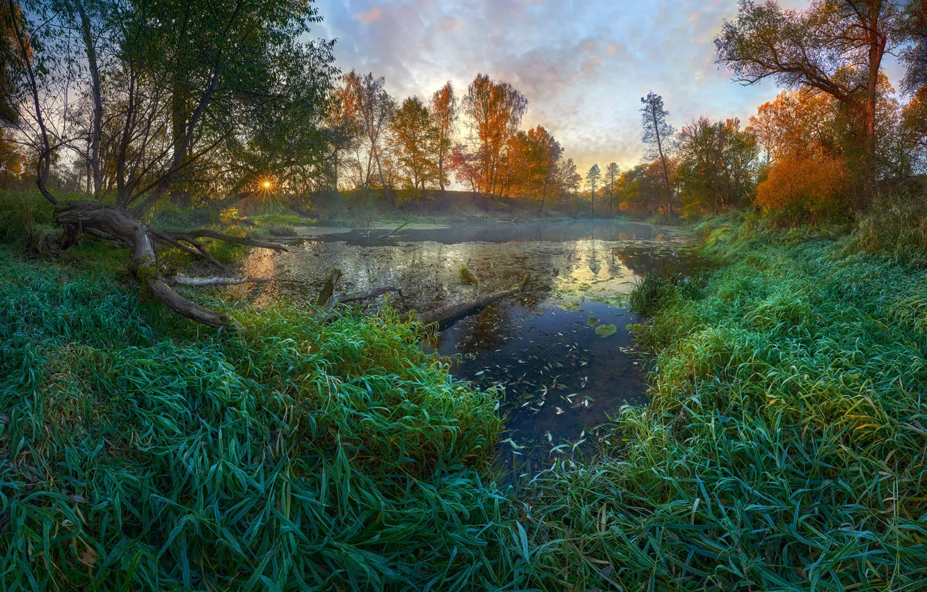 Photo wallpaper autumn, grass, the sun, rays, landscape, nature, river, Konstantin Voronov