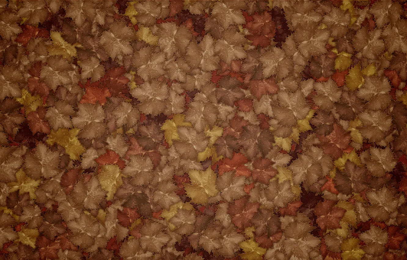 Photo wallpaper autumn, leaves, drops, Rosa