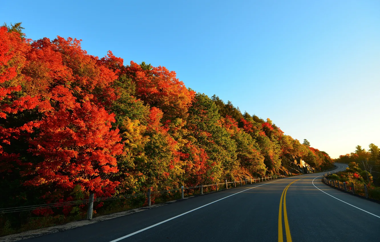 Photo wallpaper road, autumn, the sky, trees