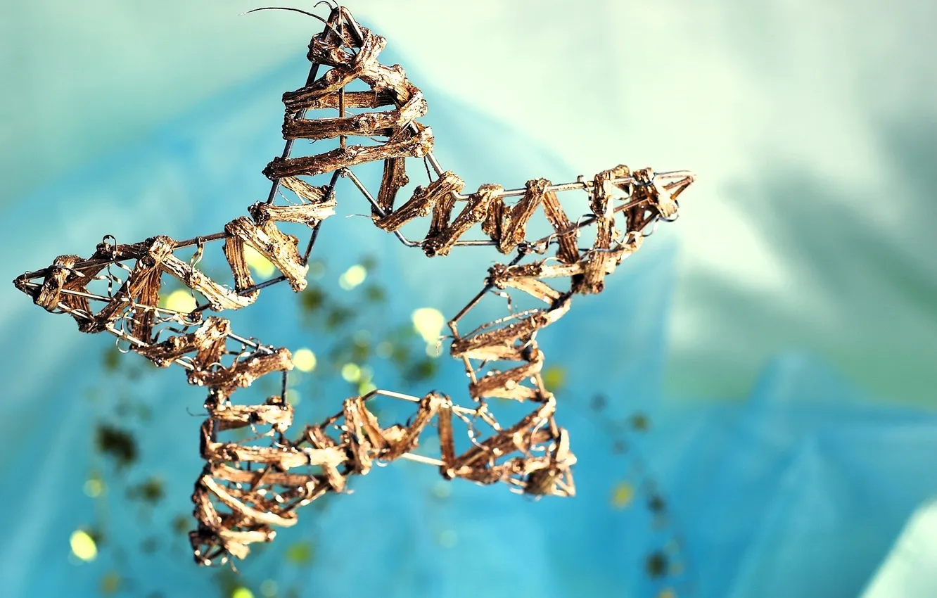 Photo wallpaper stars, decoration, wire