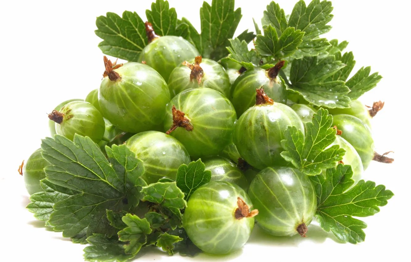 Photo wallpaper leaves, green, berries, gooseberry