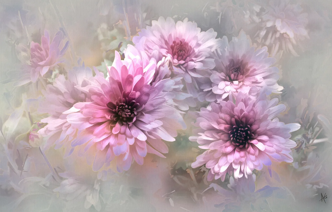 Photo wallpaper flowers, nature, background