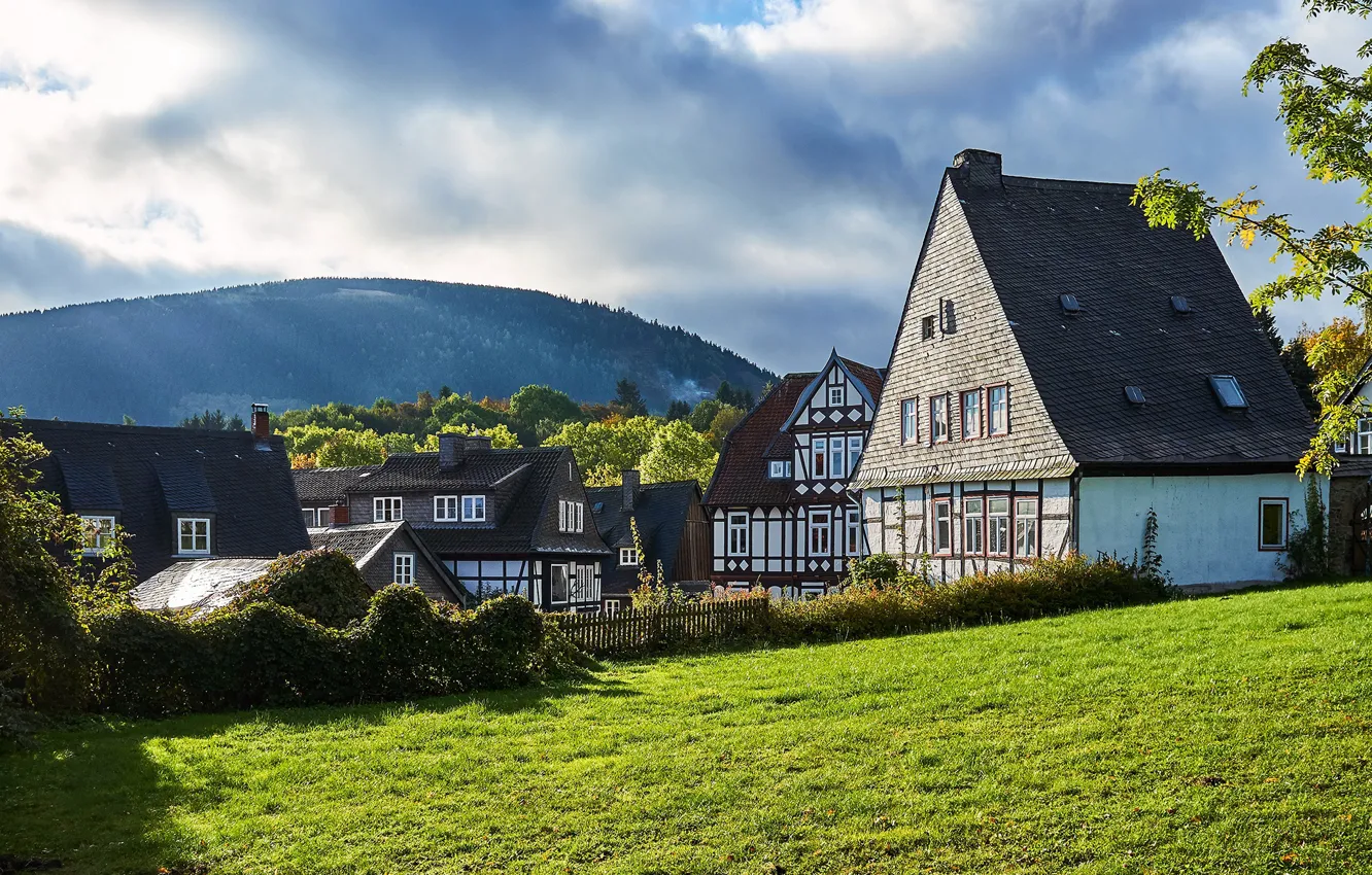 Photo wallpaper greens, forest, summer, the sky, grass, the sun, clouds, trees