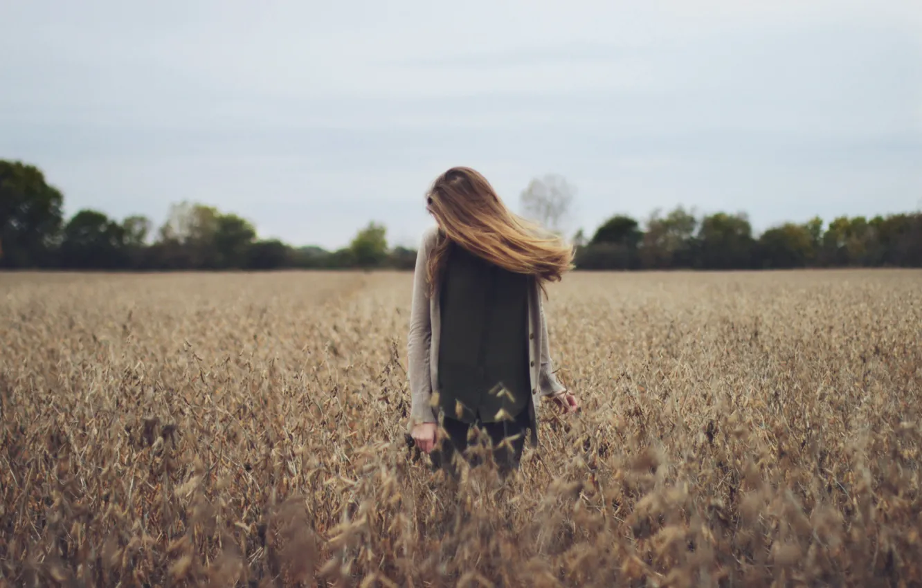 Photo wallpaper field, forest, hair, wings, forest, field, hair, wing