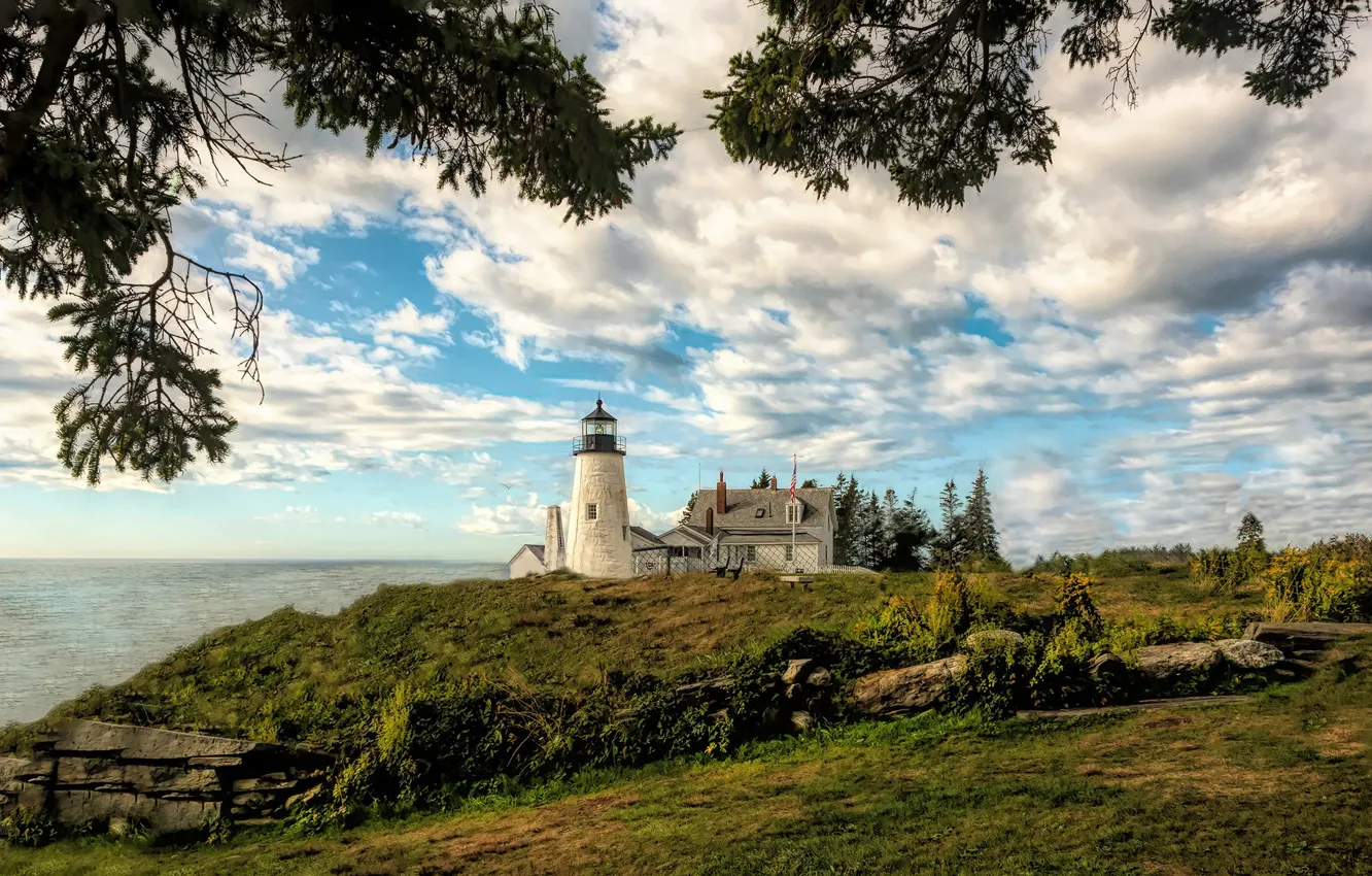 Photo wallpaper branches, the ocean, lighthouse, Bay, Maine, Man, Pemaquid Point Lighthouse, Bristol