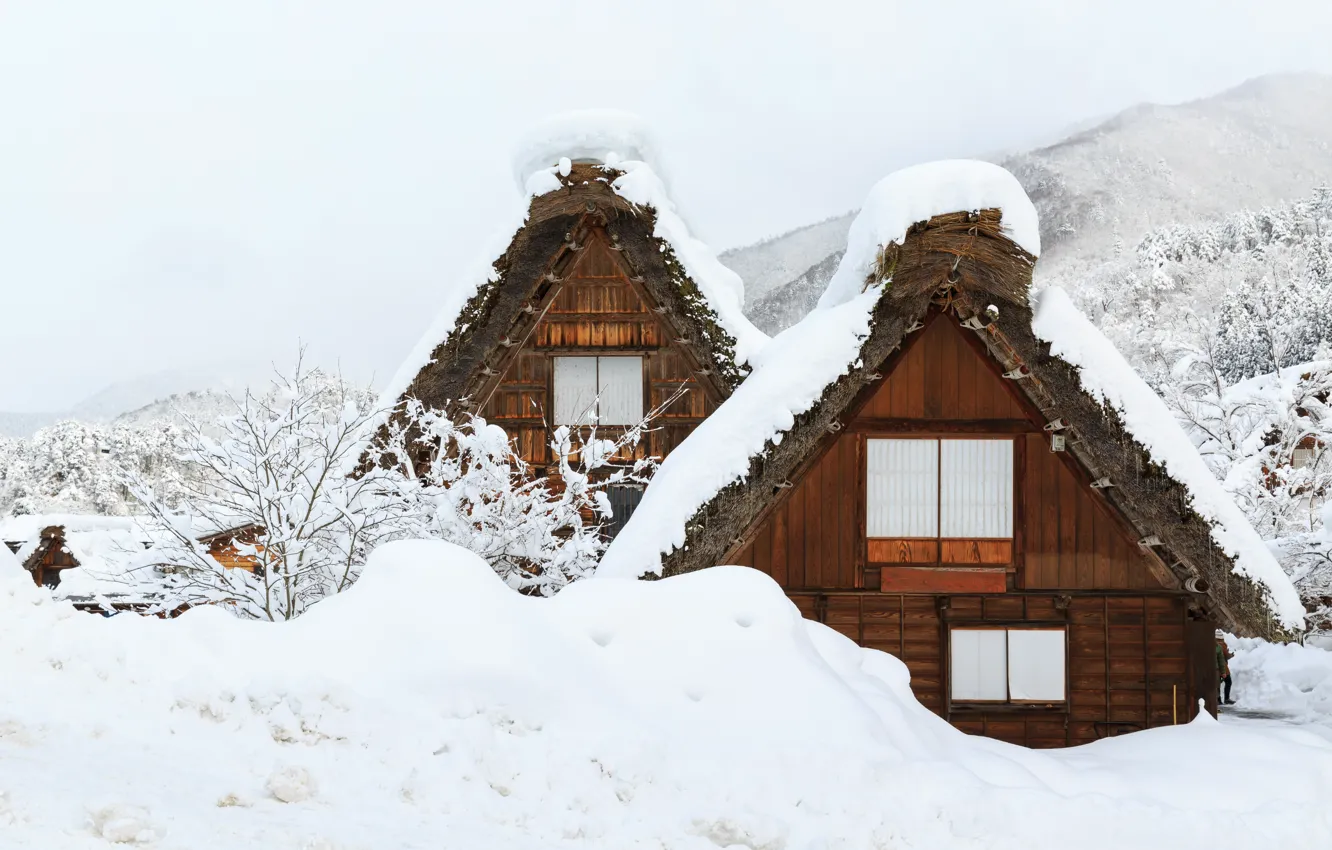 Photo wallpaper winter, snow, trees, landscape, nature, winter, house, house