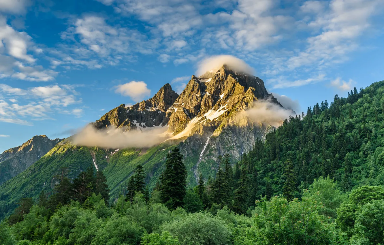 Photo wallpaper forest, the sky, mountains, nature, The Caucasus, Anna Andreeva