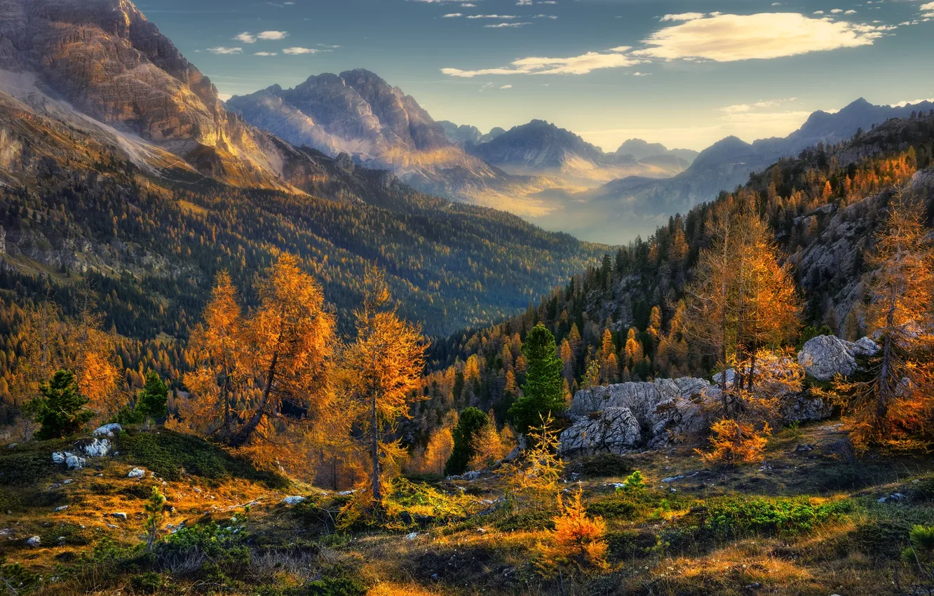 Photo wallpaper autumn, forest, trees, landscape, mountains, nature
