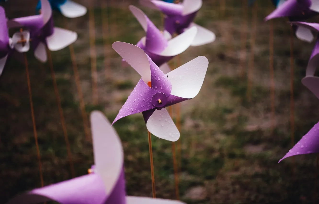 Photo wallpaper macro, color, pinwheel on a stick