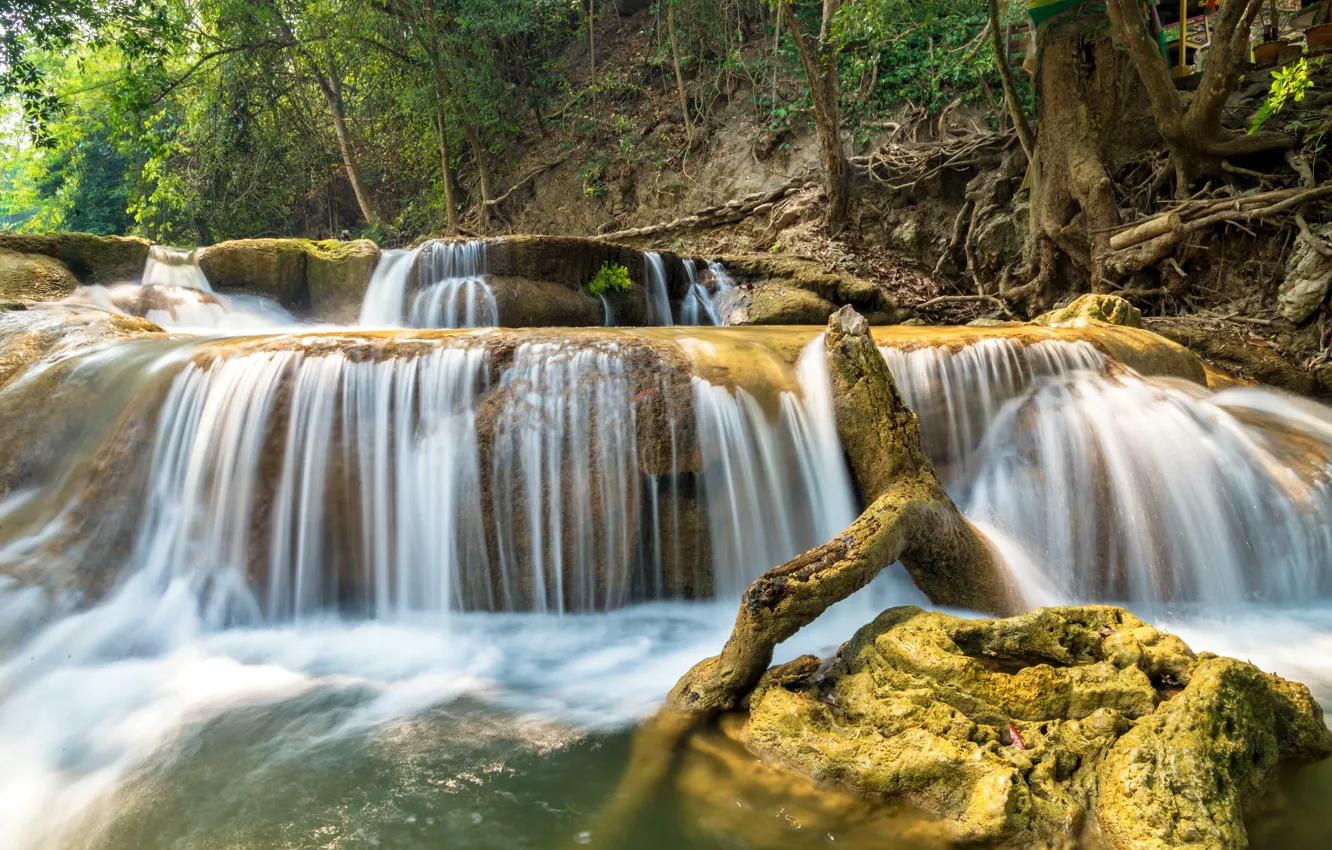 Photo wallpaper forest, river, waterfall, forest, river, landscape, jungle, beautiful