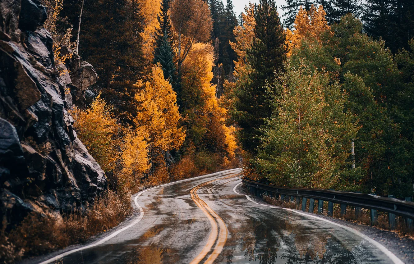 Photo wallpaper road, autumn, forest
