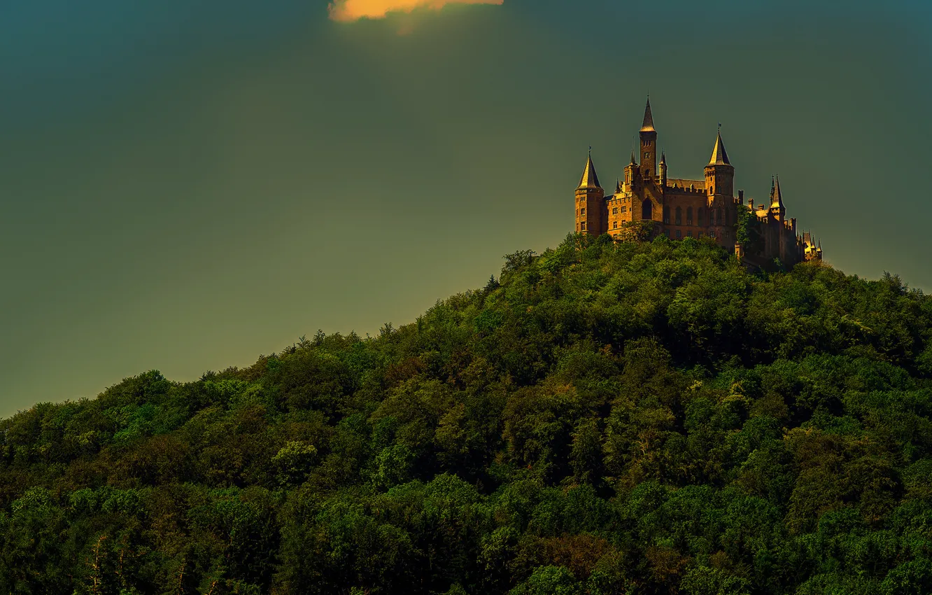 Photo wallpaper forest, the sky, trees, wall, tower, mountain, Germany, Hohenzollern castle