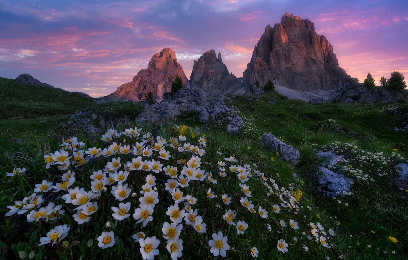 Photo wallpaper summer, flowers, mountains, rocks