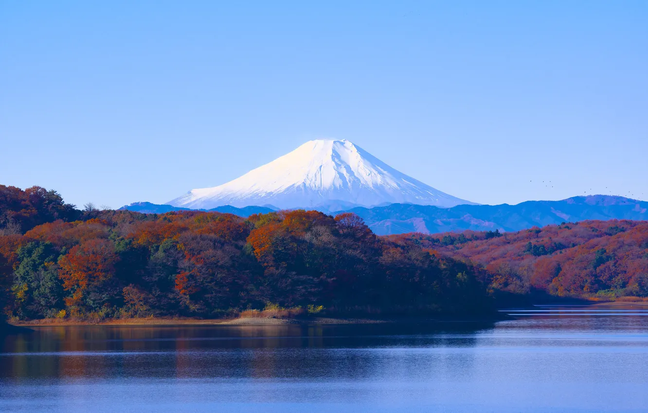 Photo wallpaper forest, the sky, trees, mountains, lake, the volcano, Japan, Sunny