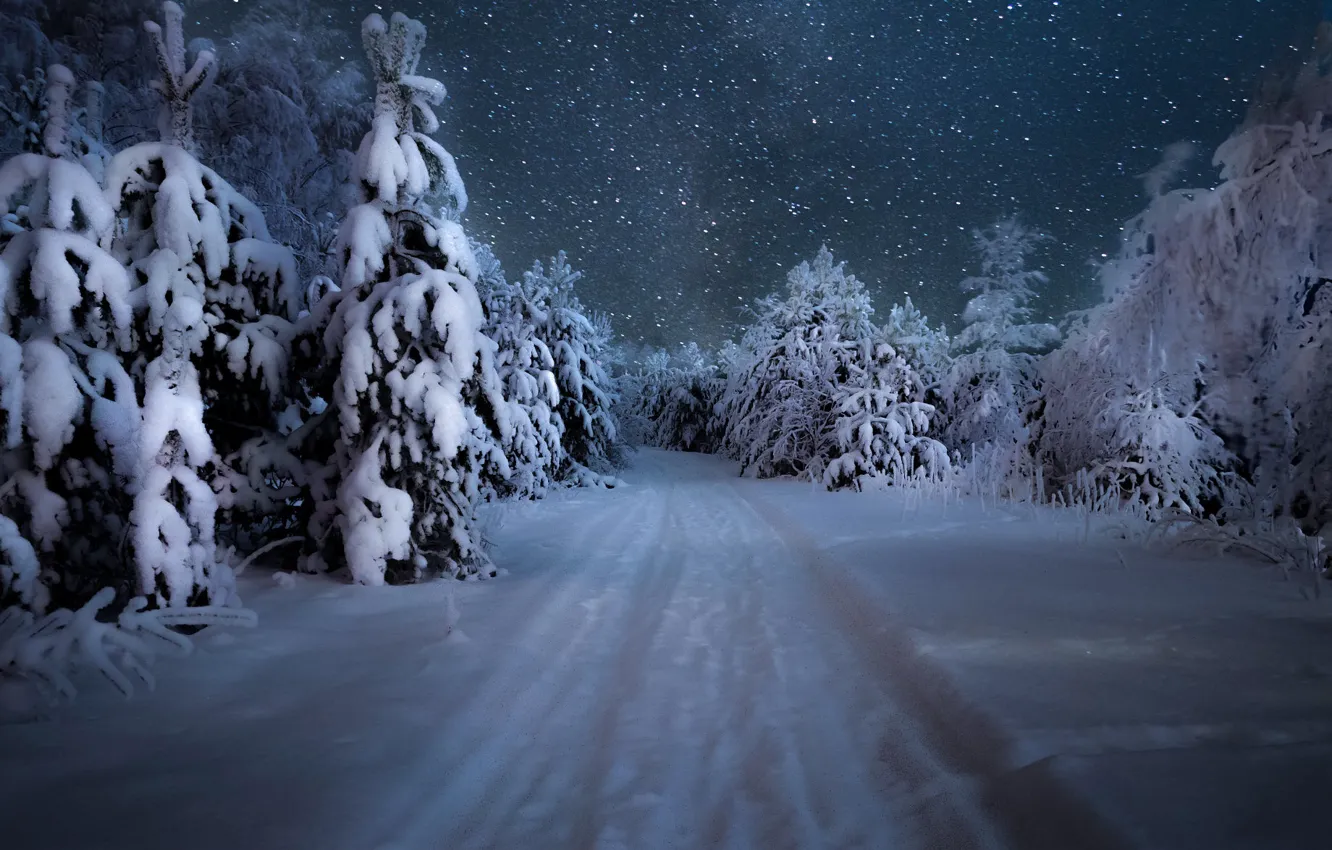 Photo wallpaper winter, road, forest, the sky, snow, trees, snowflakes, night