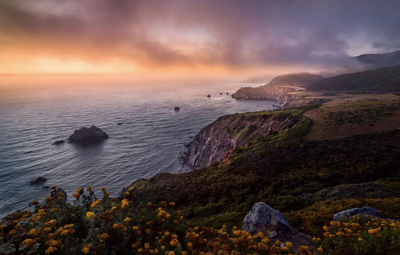 Photo wallpaper sea, the sky, fog, stones, rocks, shore, haze, the bushes
