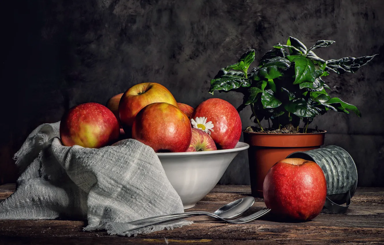 Photo wallpaper apples, plant, towel, red, pot, still life