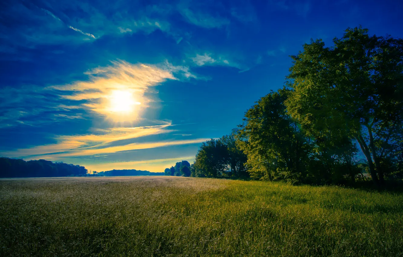 Photo wallpaper field, the sky, the sun, clouds, trees