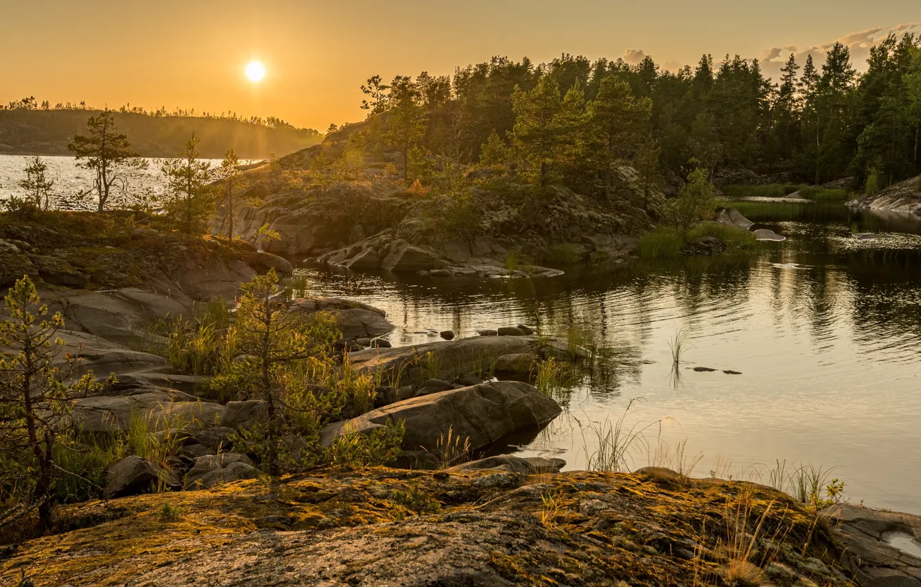 Photo wallpaper forest, the sun, stones, pond