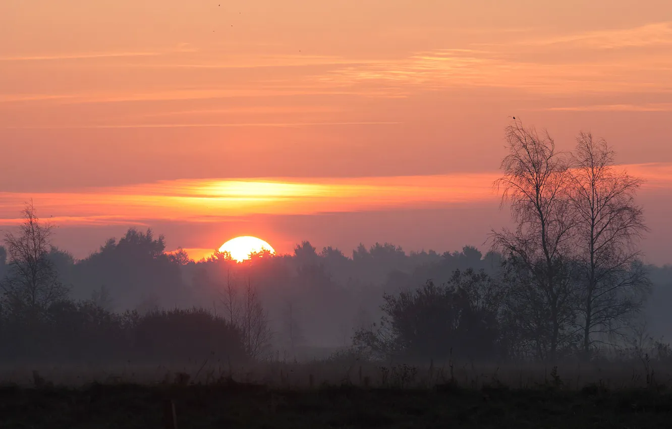 Photo wallpaper the sky, the sun, landscape, sunset, nature, fog, sunrise, Wallpaper