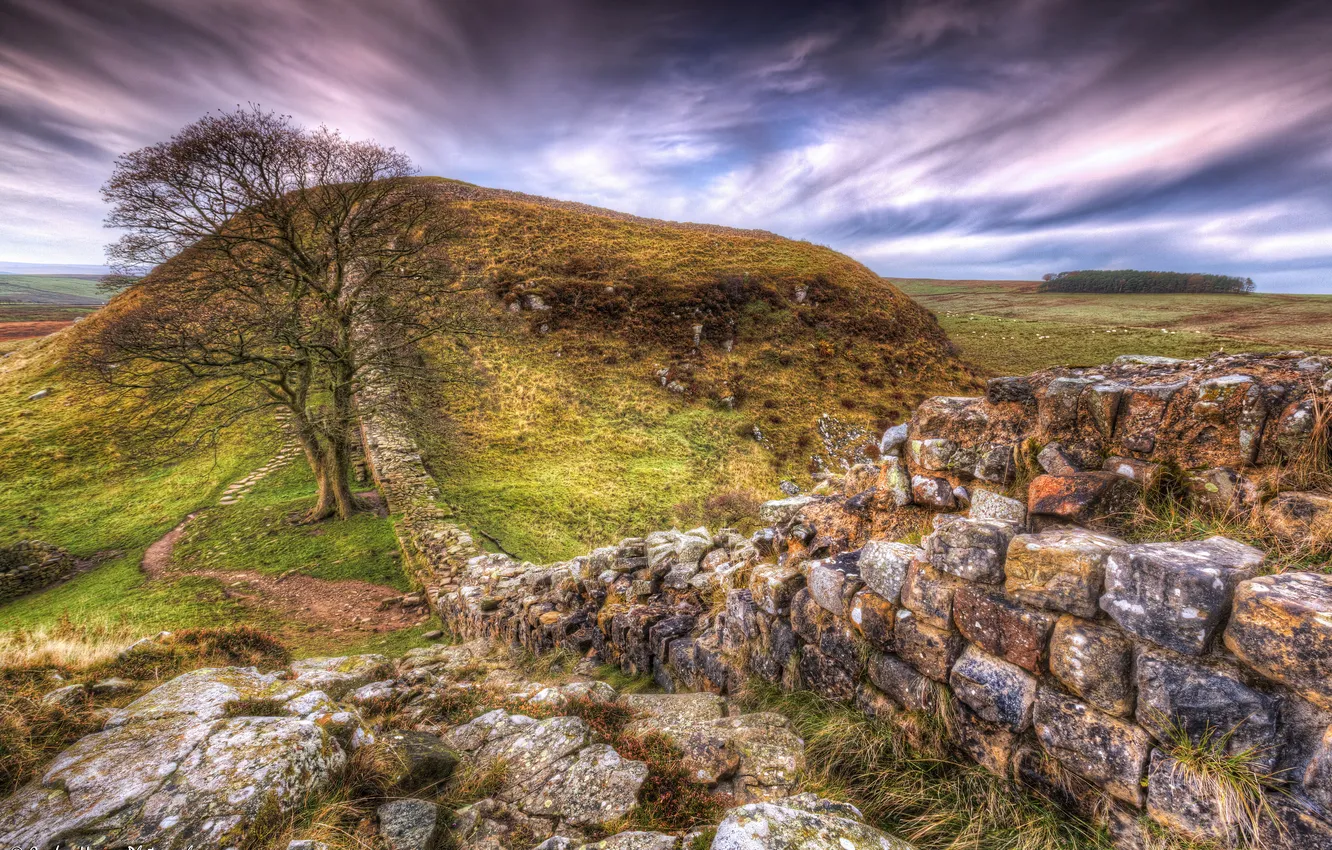 Photo wallpaper field, grass, trees, stones, wall, hills, trail, UK