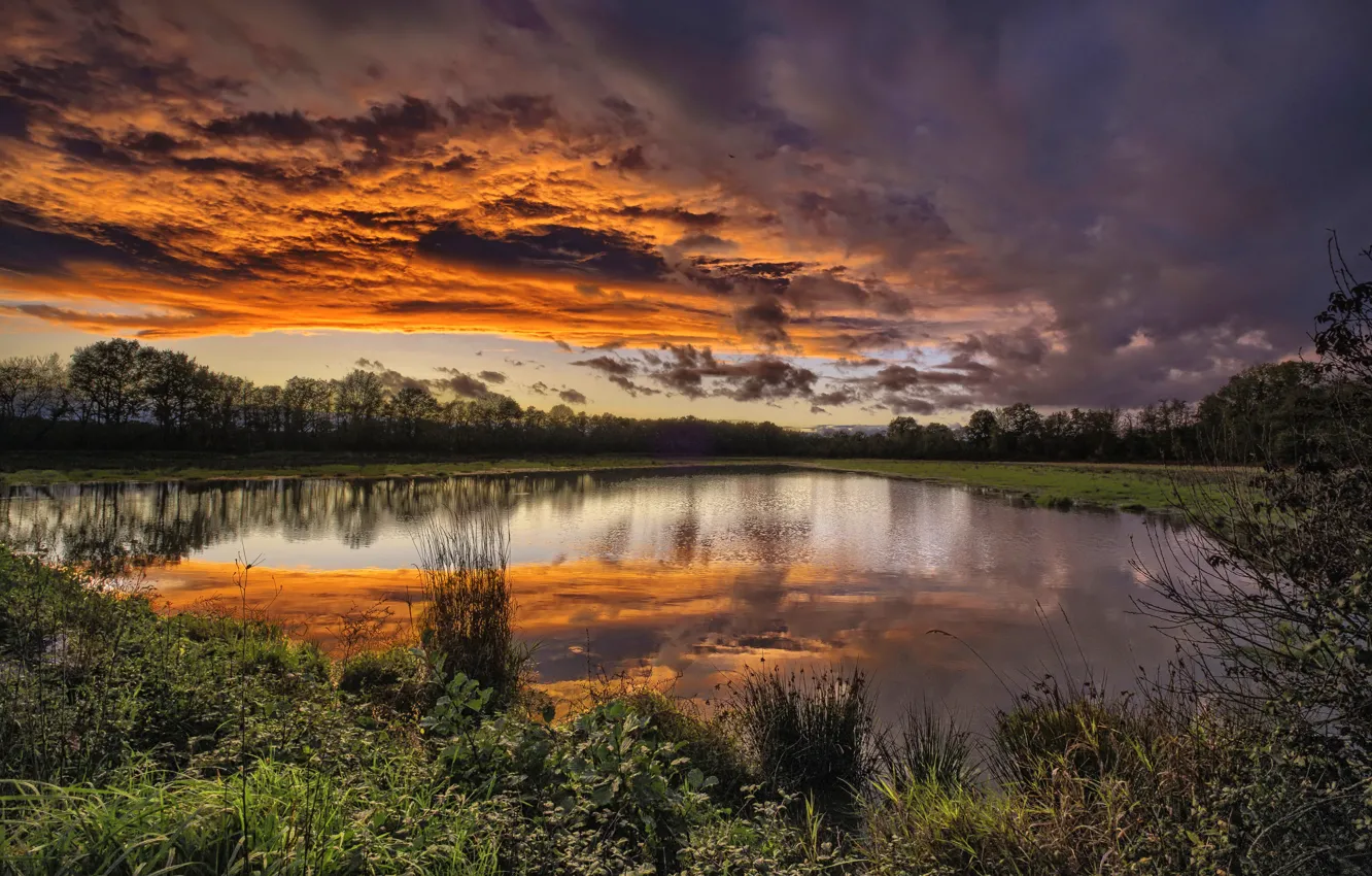 Photo wallpaper Auvergne-Rhone-Alpes, Birieux, Arrondissement of Bourg-en-Bresse