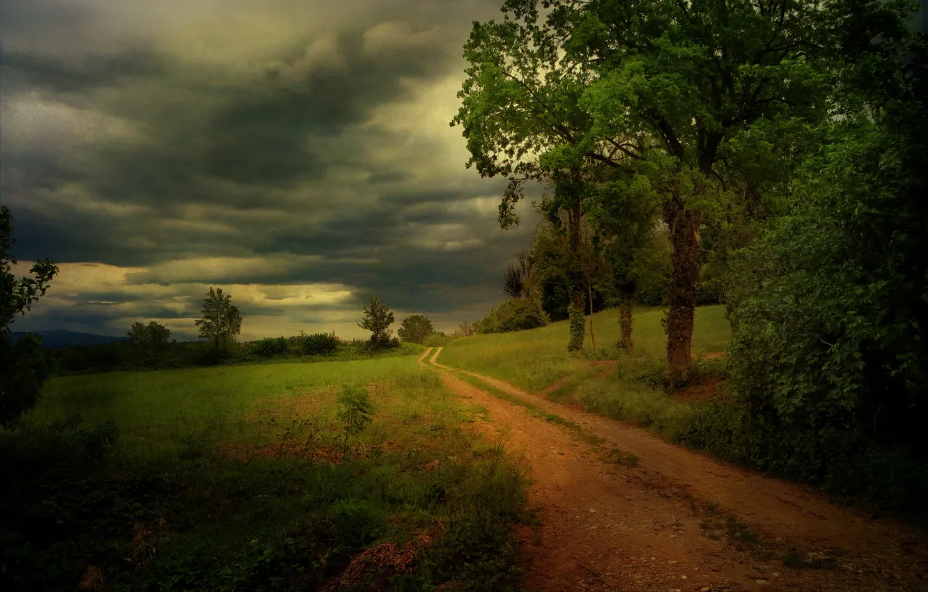Photo wallpaper road, trees, clouds, country