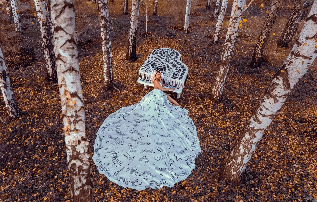 Photo wallpaper autumn, forest, look, girl, nature, pose, style, Park