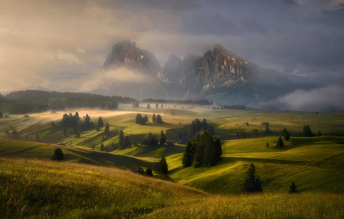 Photo wallpaper field, clouds, trees, green grass, meadow, space, haze, The Dolomites