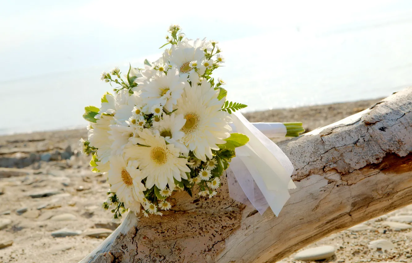 Photo wallpaper sand, sea, beach, the sun, chamomile, bouquet, snag, white