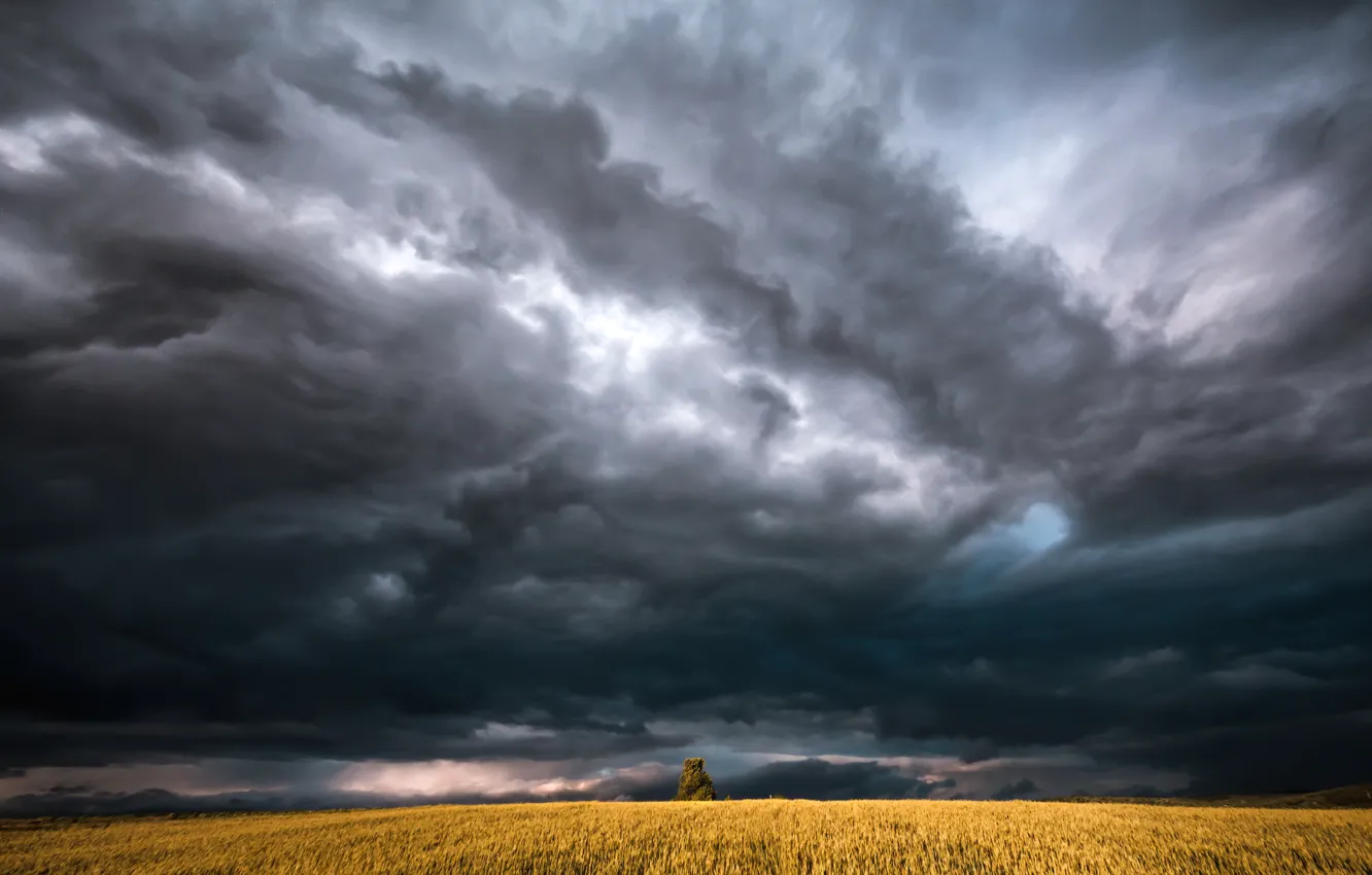 Photo wallpaper field, the sky, clouds