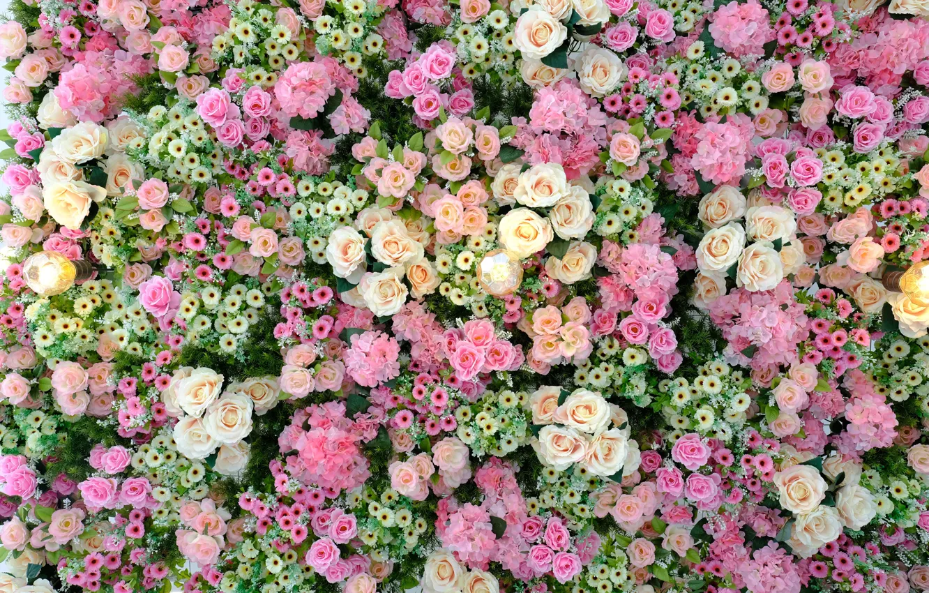 Photo wallpaper flowers, roses, buds, roses