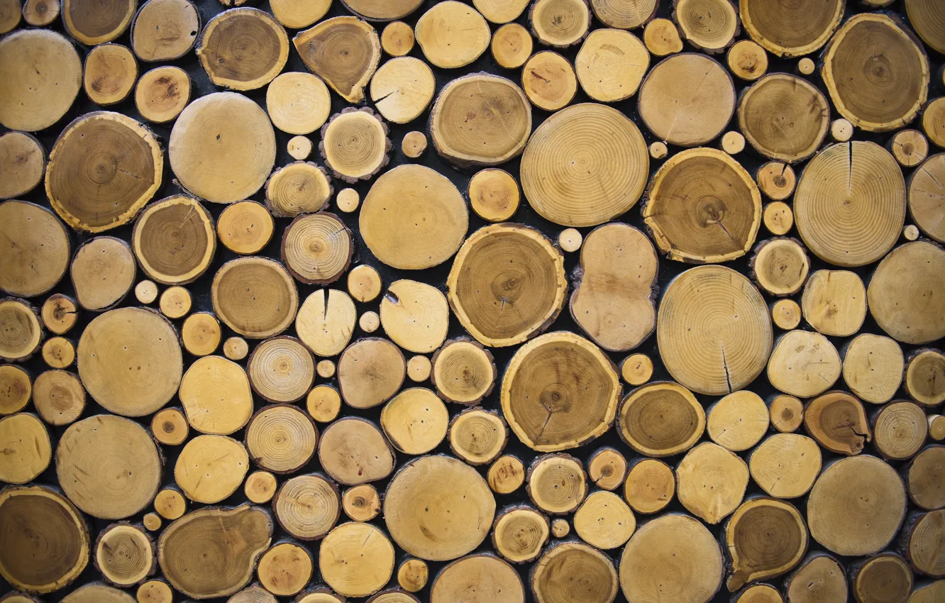 Photo wallpaper wall, wood, texture, pattern