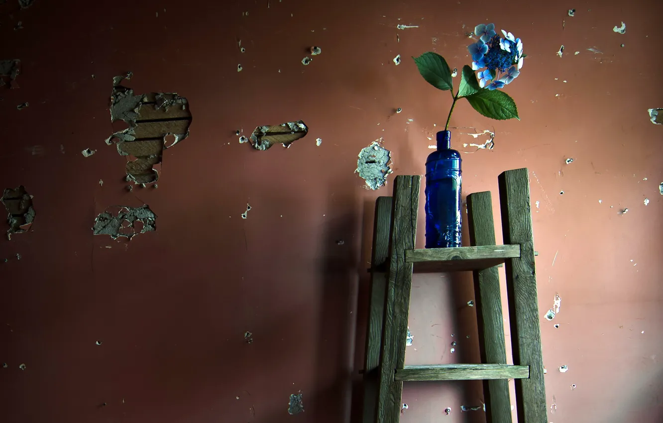 Photo wallpaper flowers, wall, bottle