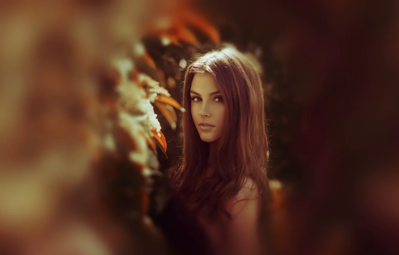 Photo wallpaper girl, sweetheart, portrait, beautiful