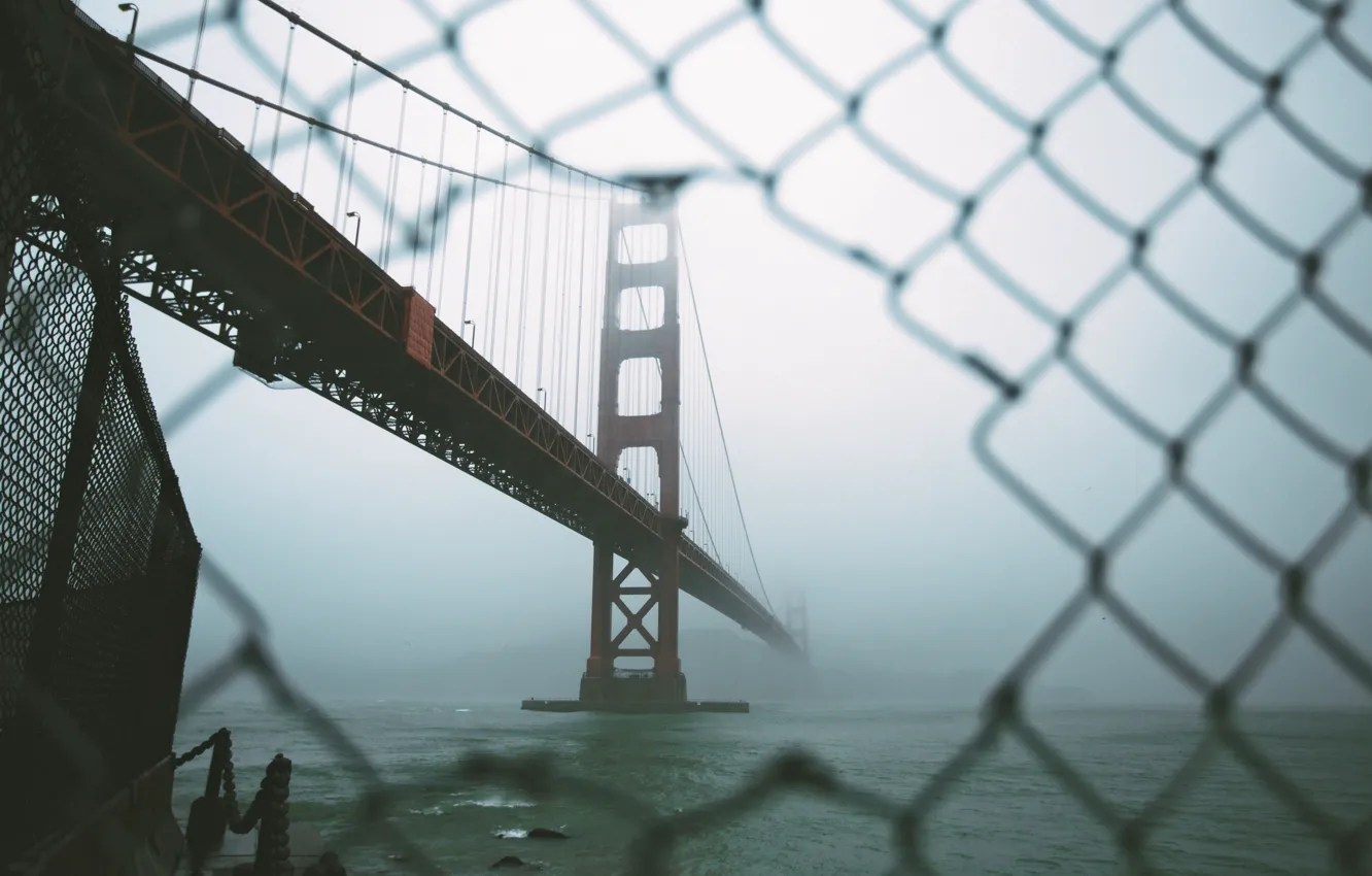 Photo wallpaper Fog, San Francisco, USA, Golden Gate Bridge, Hole, San Francisco, The Golden Gate Bridge, Foggy