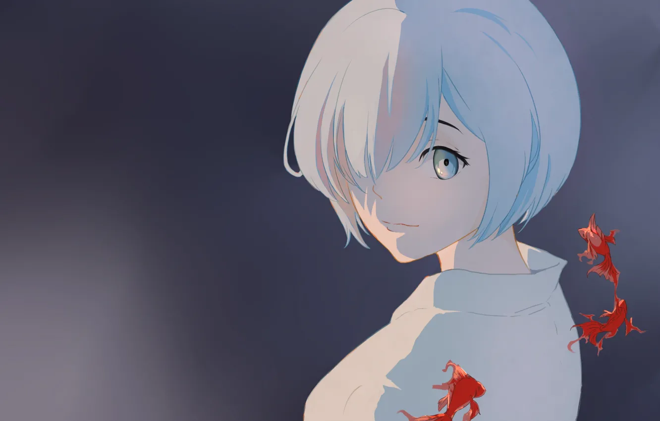 Photo wallpaper fish, background, re zero kara hajime chip isek or seikatsu, From scratch, REM