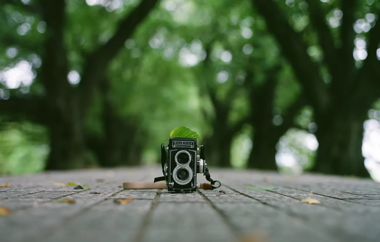 Photo wallpaper background, camera, Rolleifex