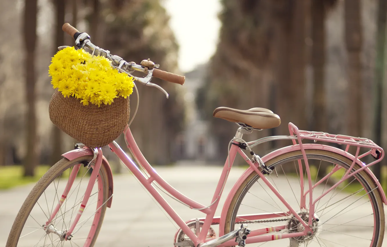 Photo wallpaper flowers, bike, the city, alley