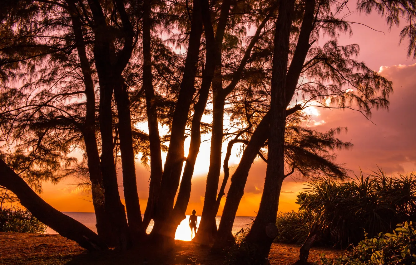 Photo wallpaper girl, trees, sunset, shore, the evening, silhouette, glow