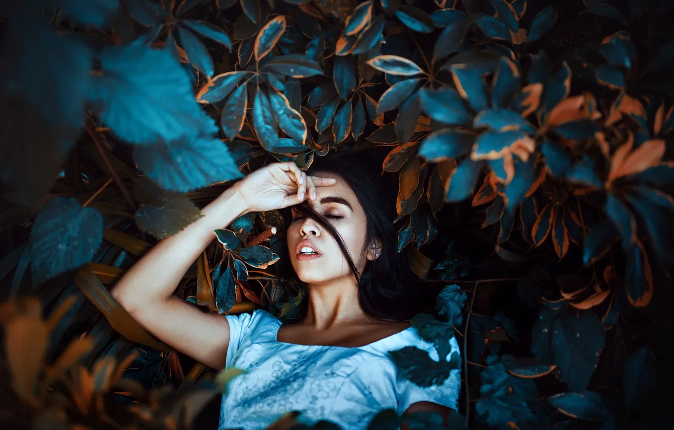 Photo wallpaper leaves, girl, sponge, teeth, Free fall, Ronny Garcia
