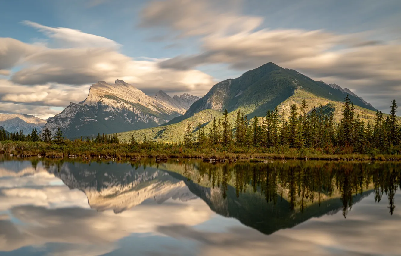 Photo wallpaper trees, mountains, lake, reflection